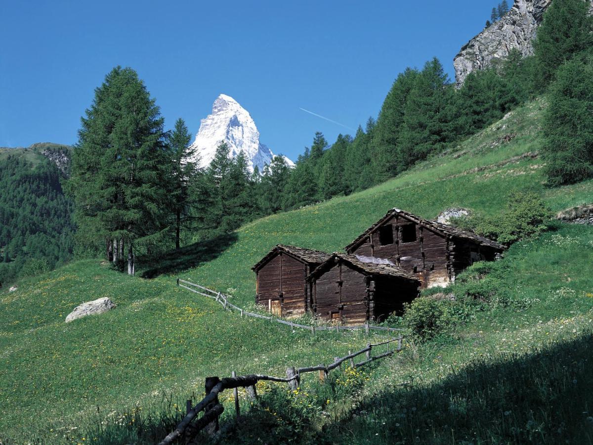Apartment Chalet Dossen Zermatt Exterior foto